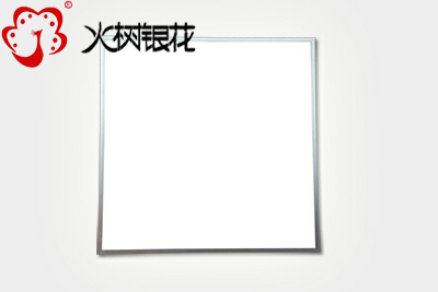火樹銀花實力廠家辦公吊線燈平板燈led直發(fā)光面板燈 300x300 600x600